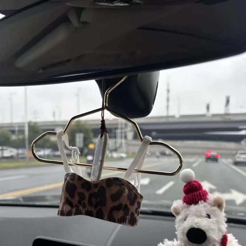 Mini Lingerie Car Ornament, Cu - đánh giá và giá Interior Design Years