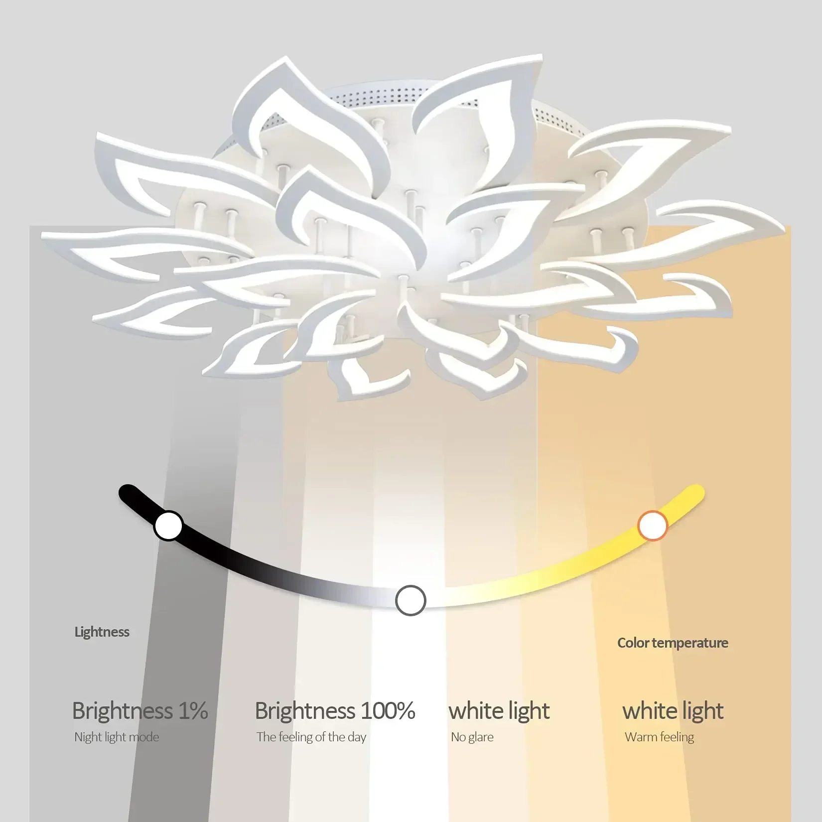 Designer LED Petal Chandelier  - đánh giá và giá Interior Design Years