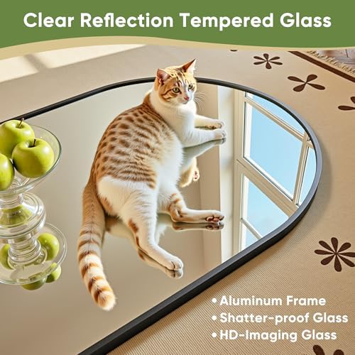 Arched Full Length Mirror 58 x - đánh giá và giá Arch Mirror Leaning