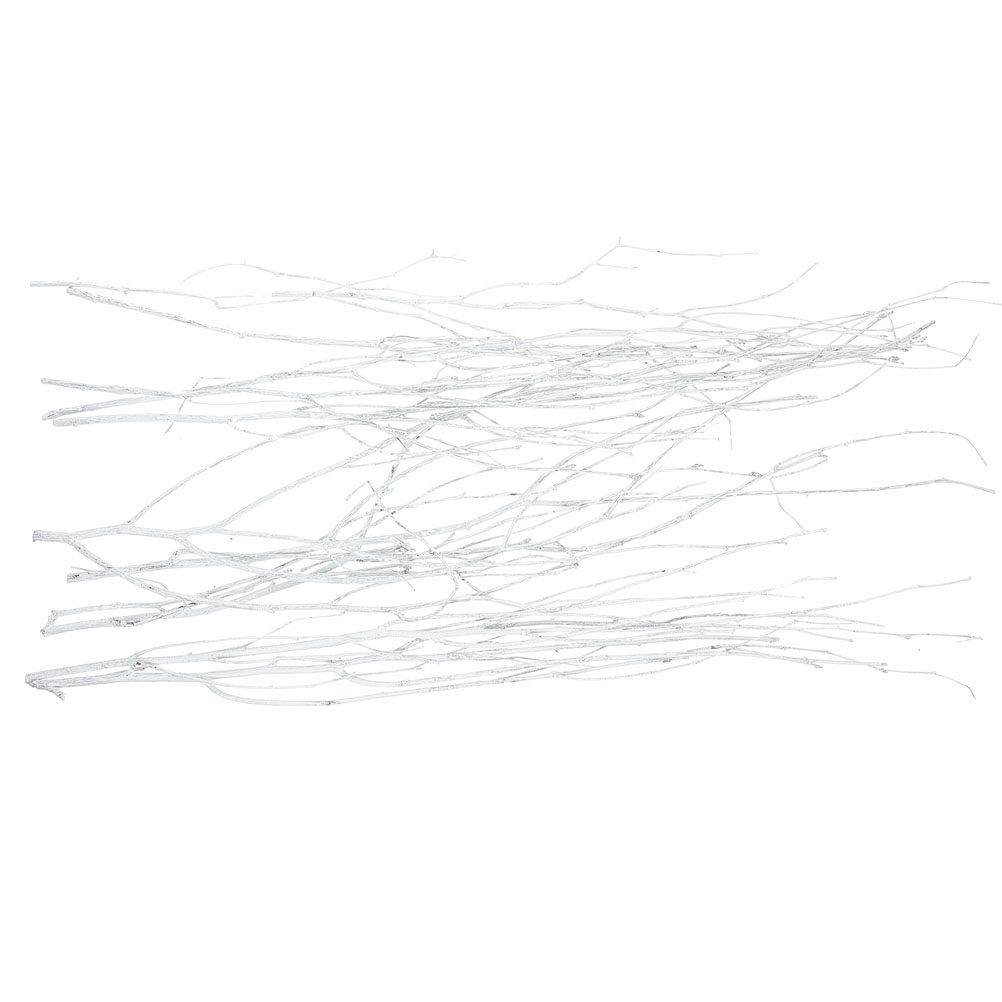 12Pcs Natural Small Twigs Drie - đánh giá và giá Interior Design Home Decor