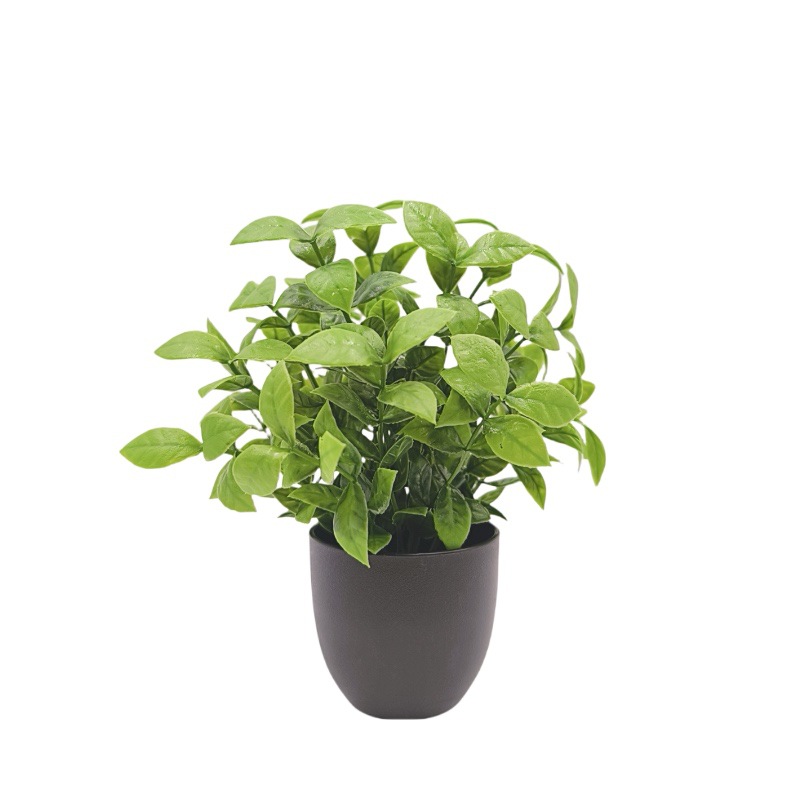Simulation Green Plant Bonsai  - đánh giá và giá Interior Design Home Decor